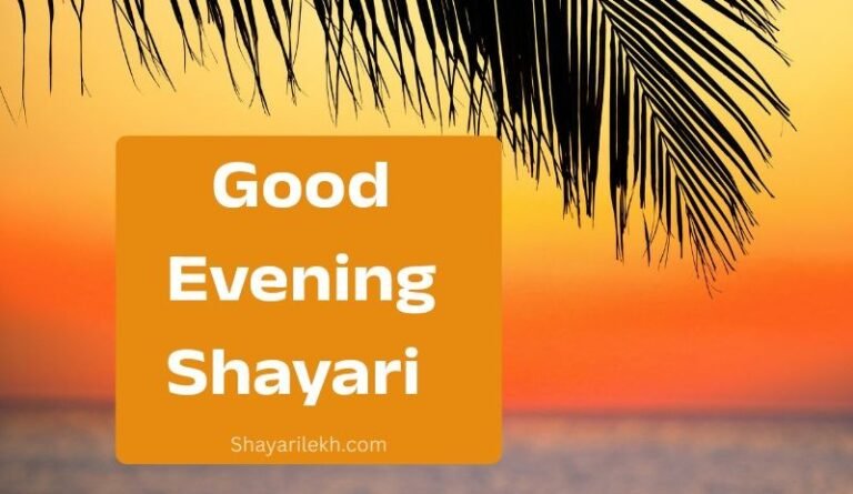 Good Evening Shayari