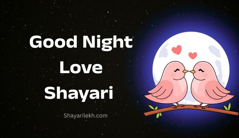 Good Night Shayari in Hindi Love