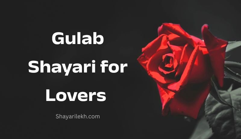 Gulab shayari