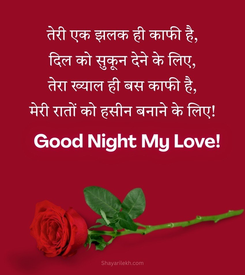 Hindi Good Night Shayari Love