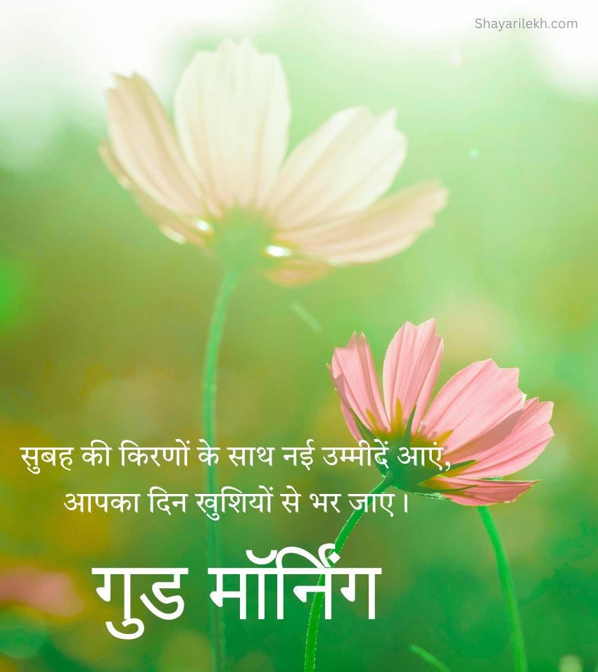 Flower with Good Morning Status in Hindi