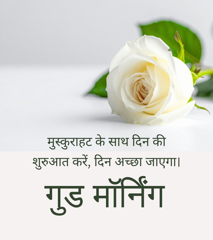 White Rose Flower with Good Meeting Wishes in Hindi