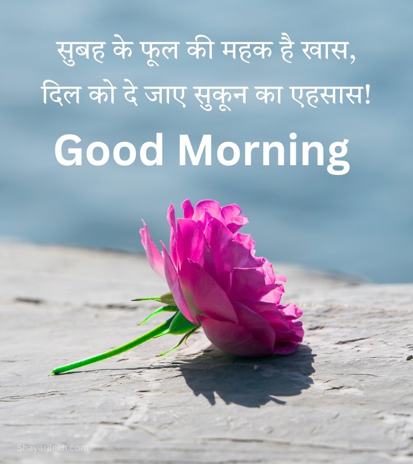 Good Morning Rose Phool in Hindi