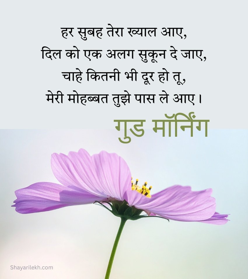 Good Morning Pics with Flowers