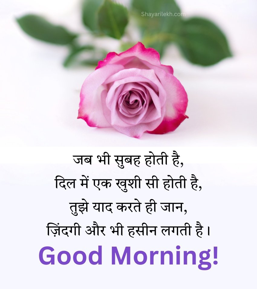 Romantic Good Morning Pics with Rose Flower