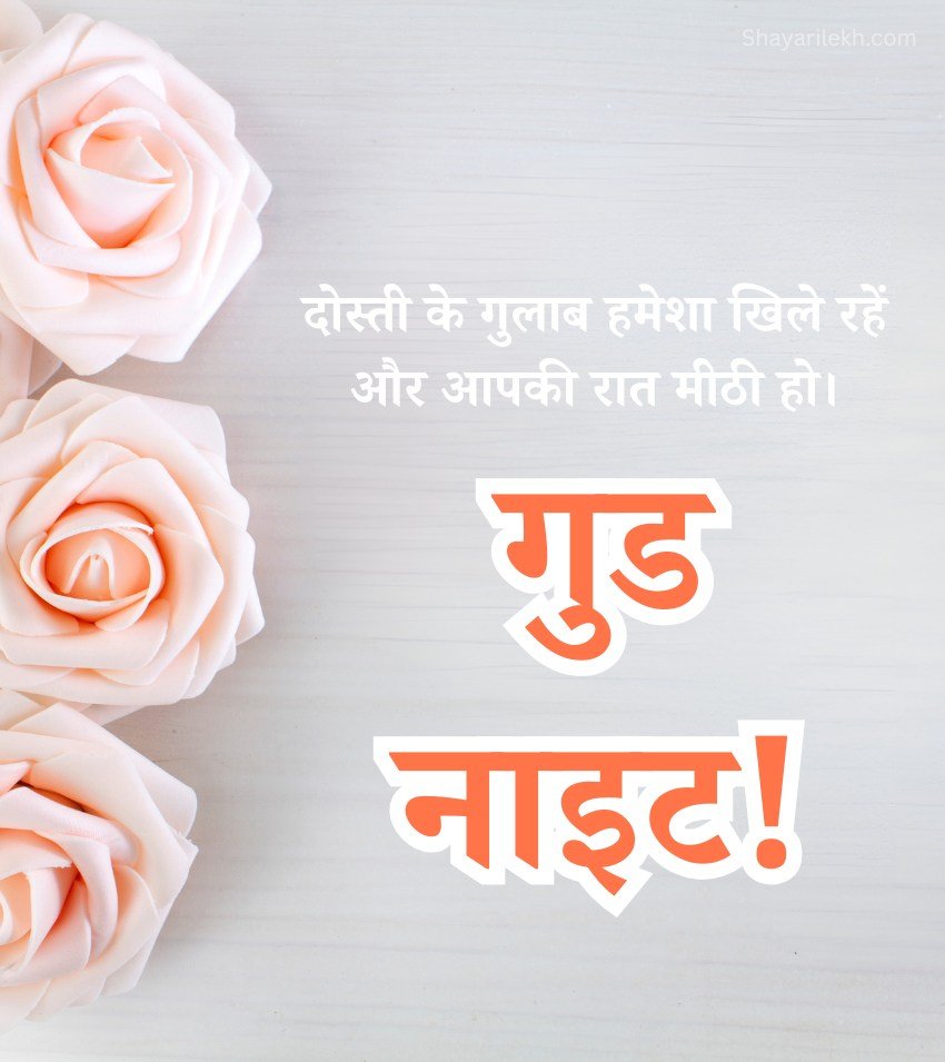 Roses With Good Night Pics For Friend In Hindi
