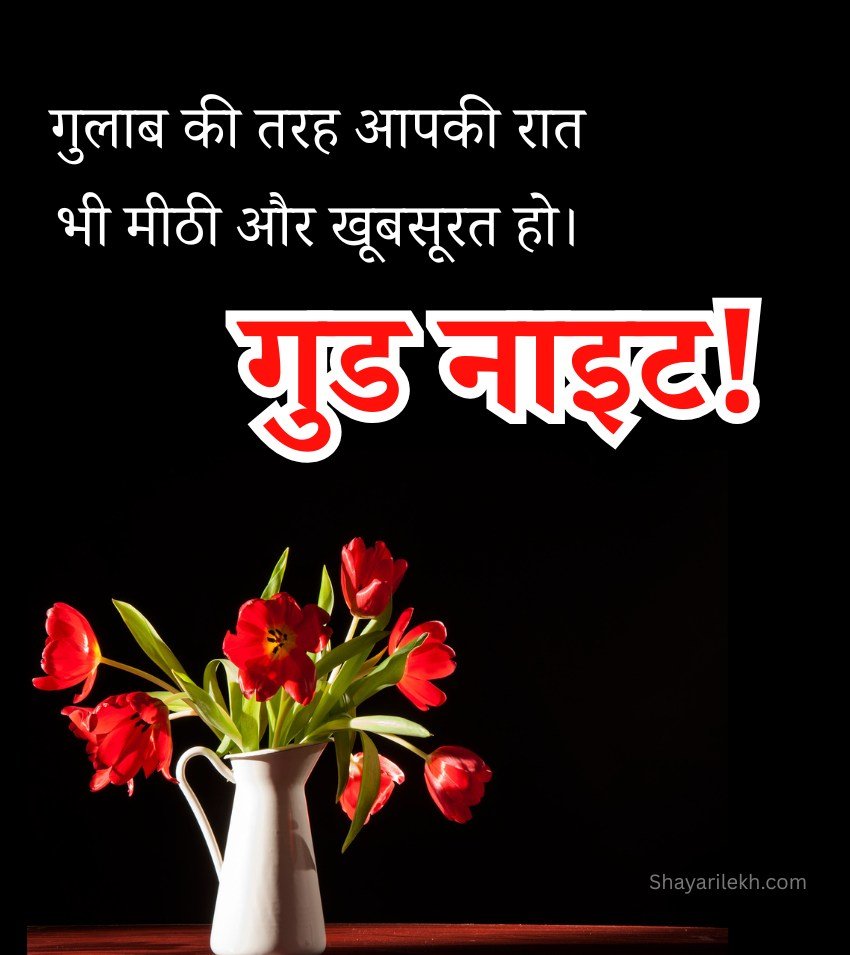 Good Night Red Rose Images Hindi Shayari