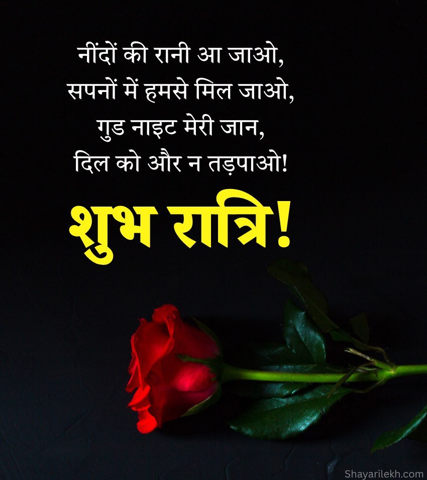 Heart Touching Romantic Good Night Shubh Ratri Status