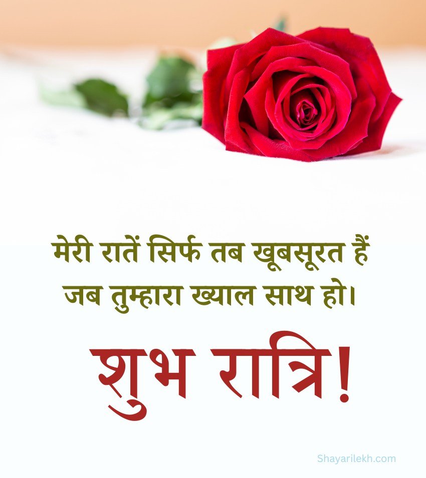 Romantic Good Night Rose Images For Lover Hindi