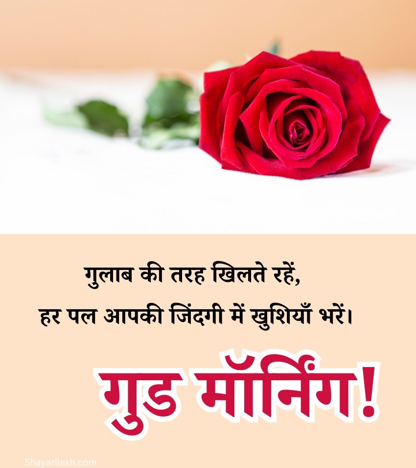 Suprabhat Rose Images for Status