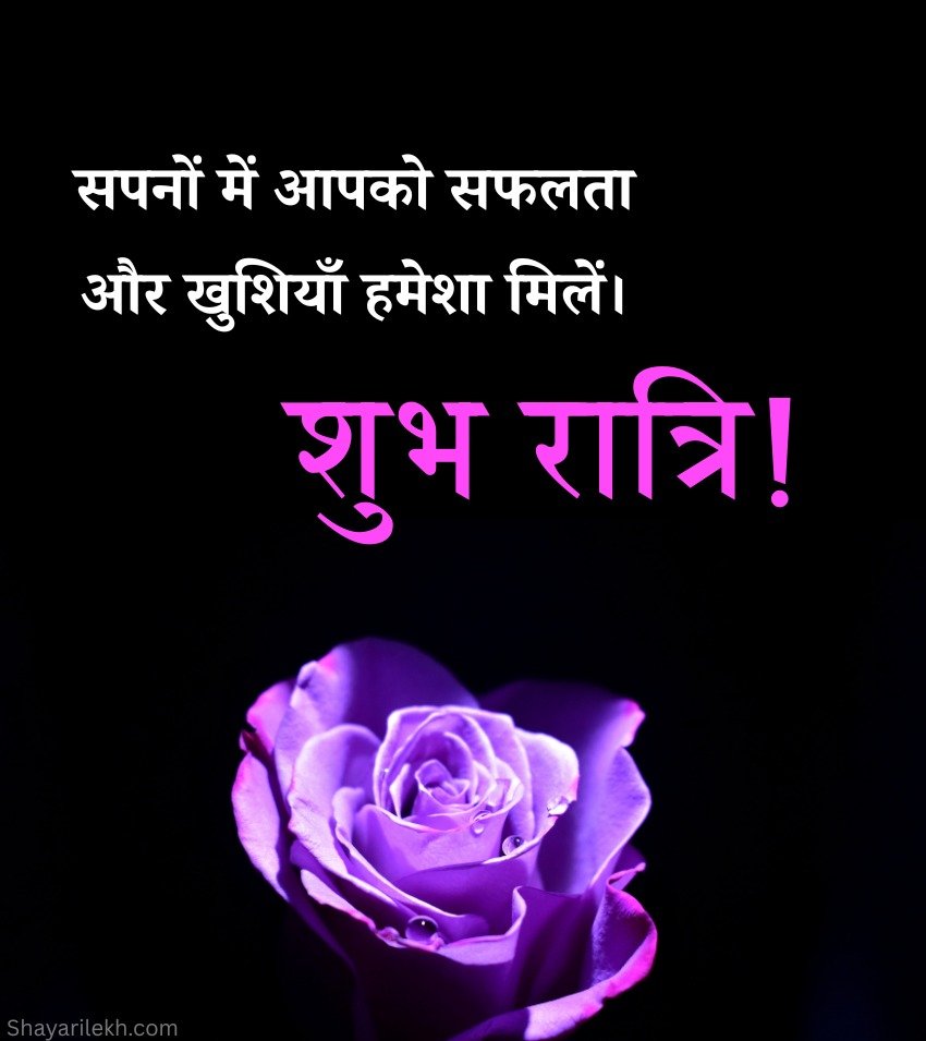 Heart Touching Good Night Gulab Pics Hindi