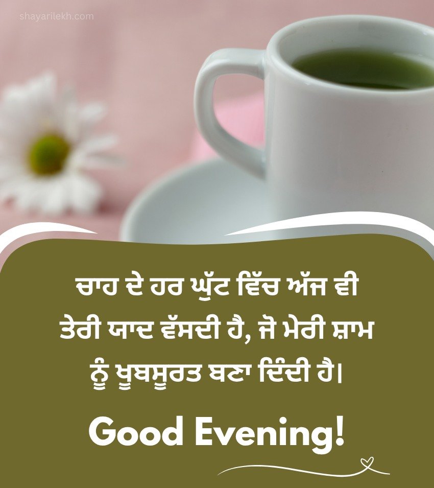 Cute Good Evening Quotes In Punjabi Language