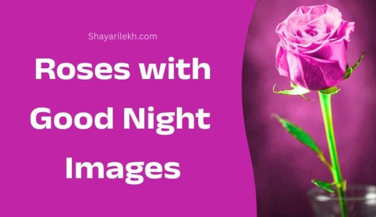 Good Night Shubh Ratri Rose Images in Hindi