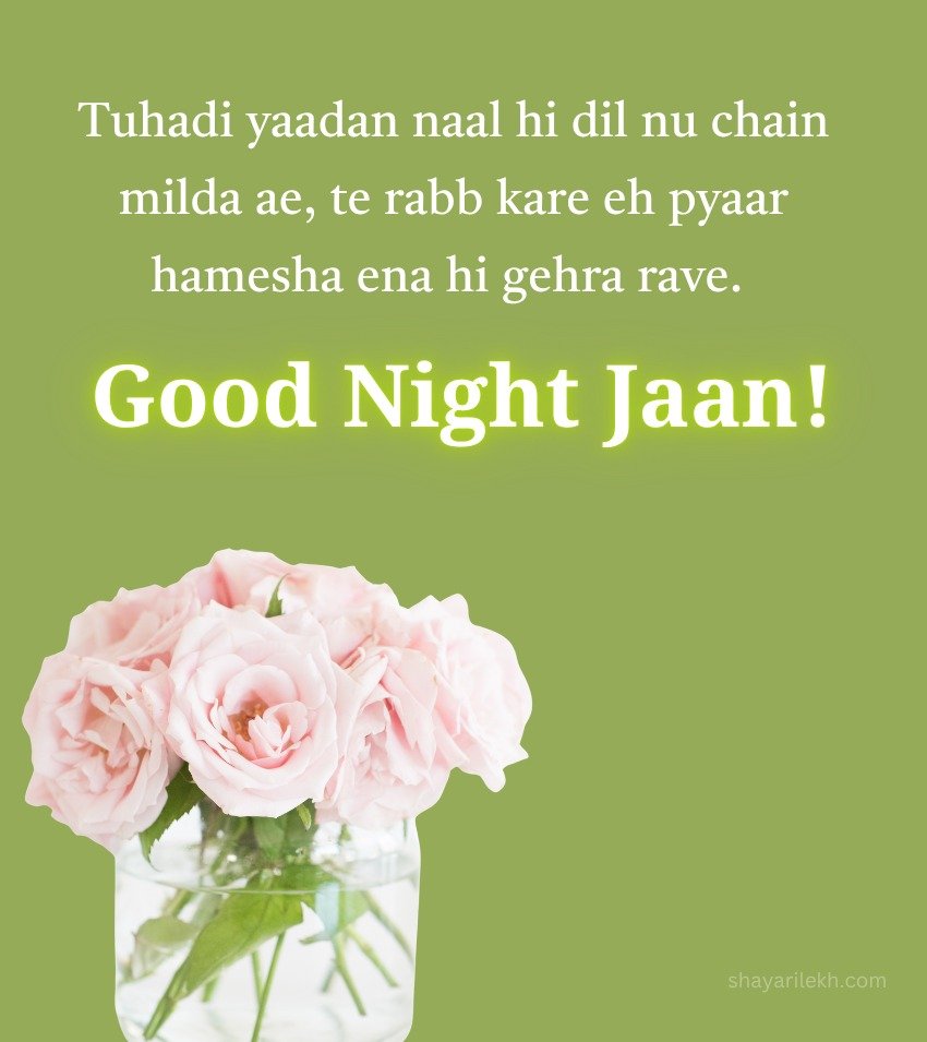 Punjabi Good Night Images for Love with Flower