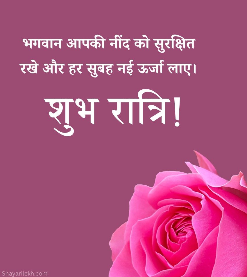 Rose with good Night Wishes in Hindi