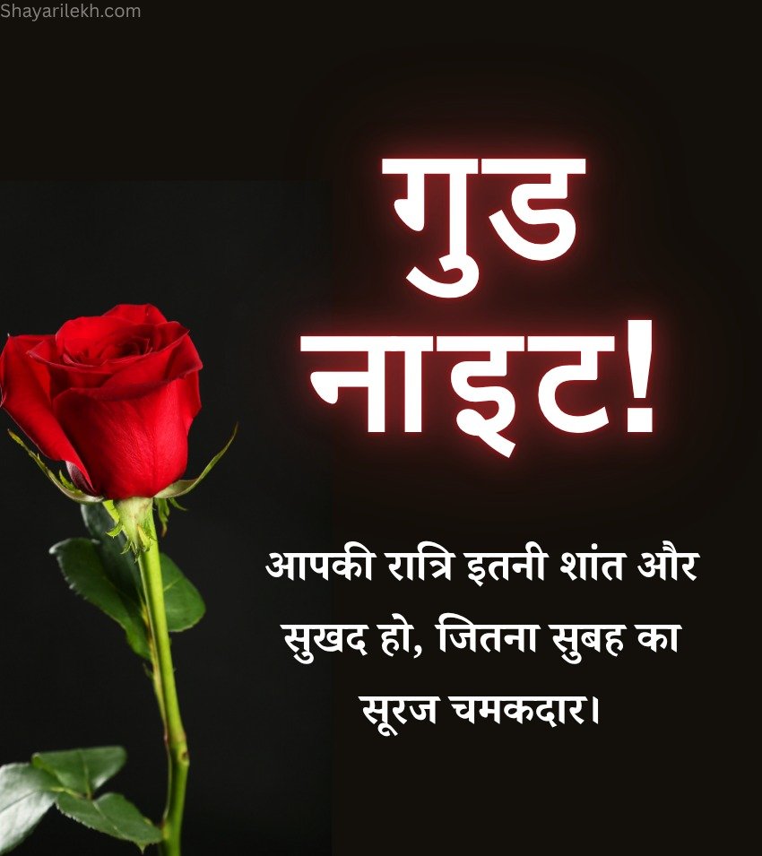 Good Night Gulab Image In Hindi with Beautiful quotes