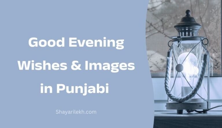 Good Evening Wishes in Punjabi