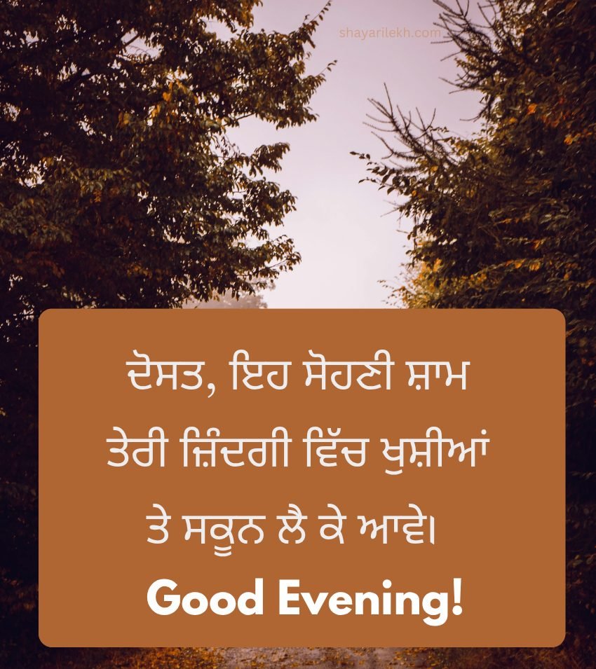 Good Evening Wishes For Friend In Punjabi