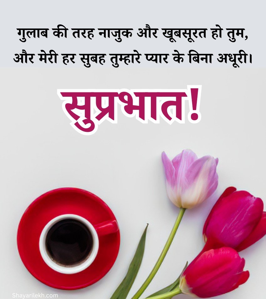 Latest Hindi Good Morning Rose Wallpapers