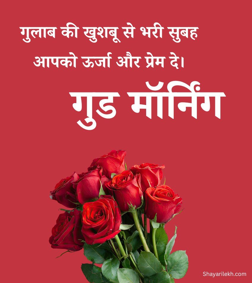 Red Gulab Flower Morning Images Hindi