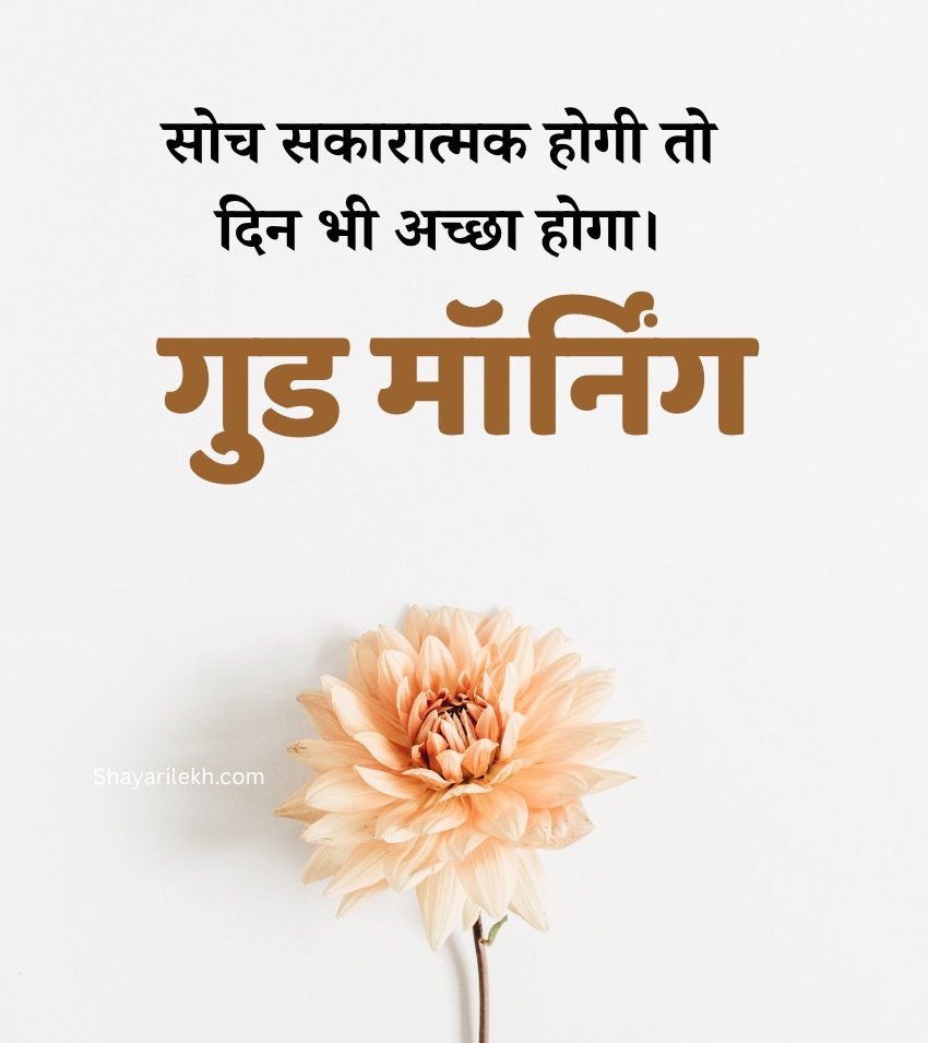 Flower with Good Morning Nature Images in Hindi