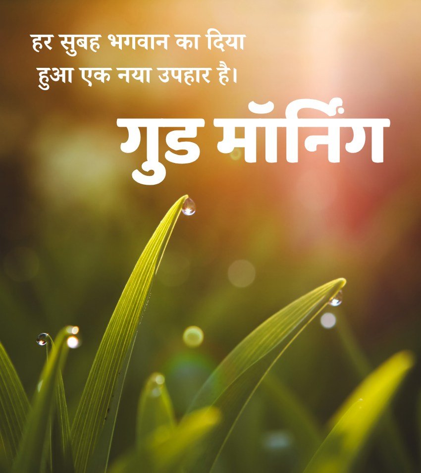 Good Morning Nature Images in Hindi