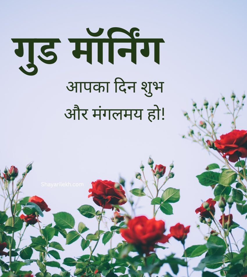 New Good Morning Roses Pictures In Hindi