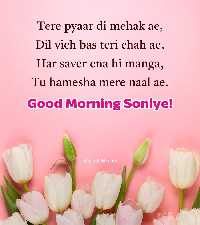 Love Punjabi Good Morning Shayari for Her