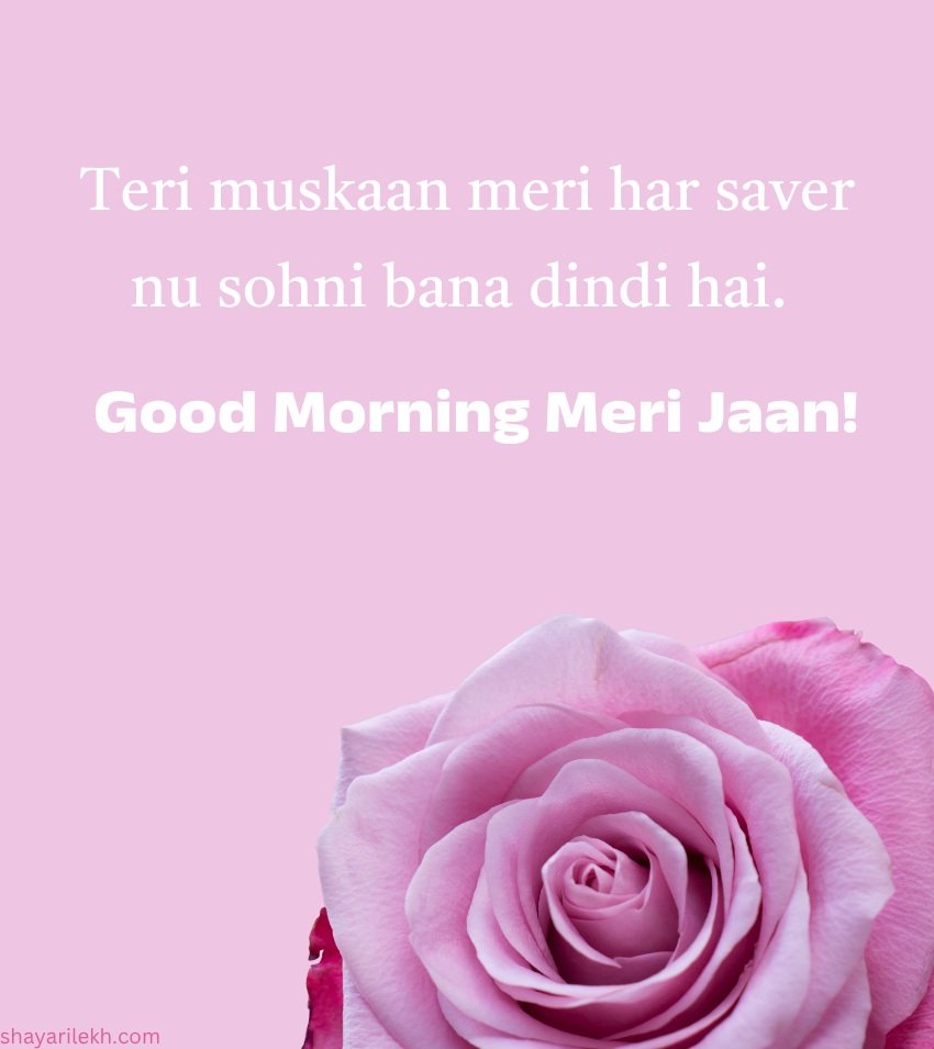 Punjabi Romantic Rose Morning Photos