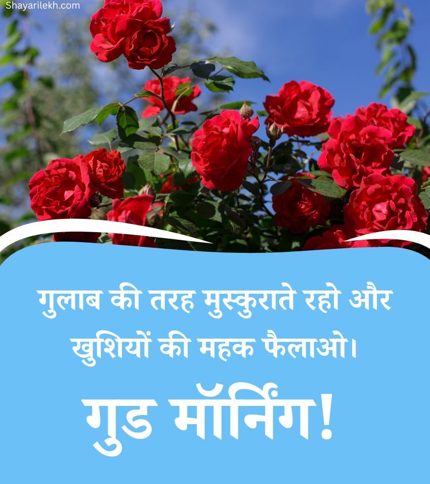 Good Morning Roses Images in Hindi for Lover