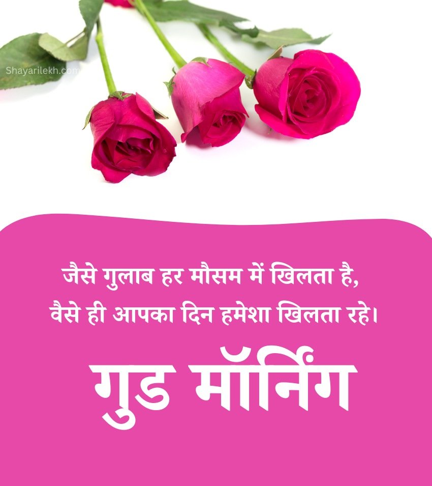 New Good Morning Gulab Pictures Hindi