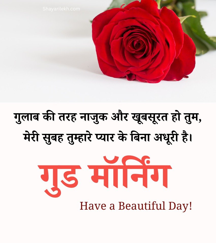Top Good Morning Gulab Flower Status Hindi