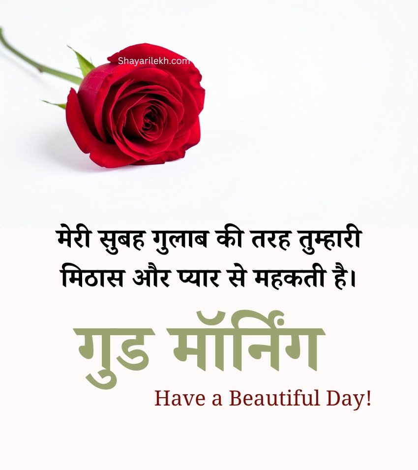 Love Romantic Good Morning Rose Pics Hindi