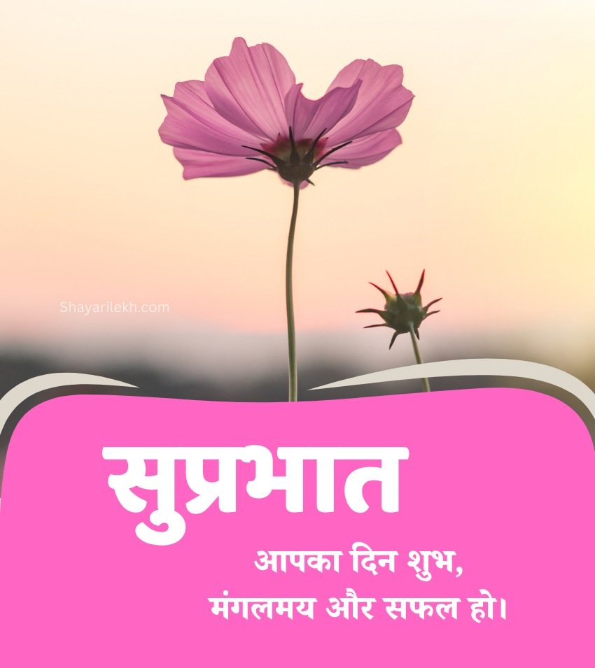 Flower with Good Morning Images 