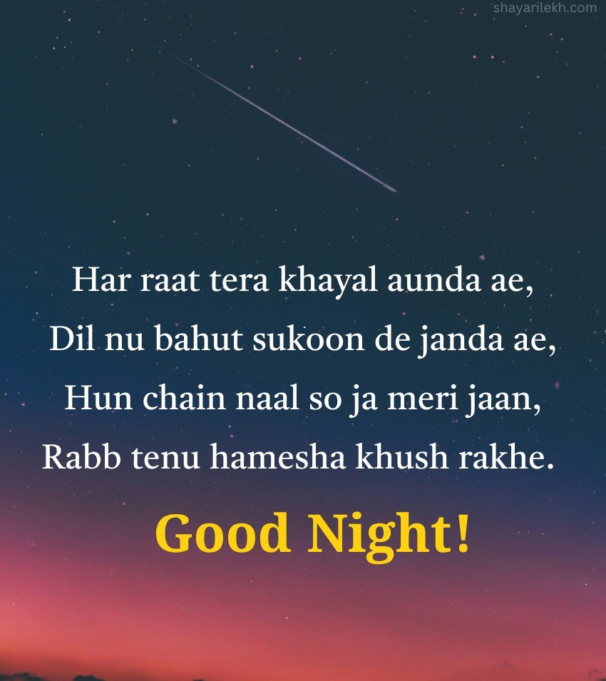 Punjabi Good Night Shayari Quotes
