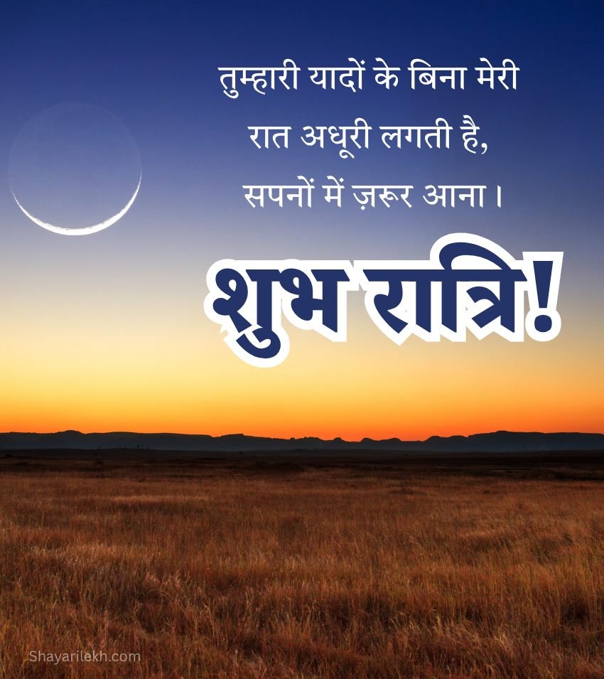 Good Night Love Messages For Him Hindi Photos