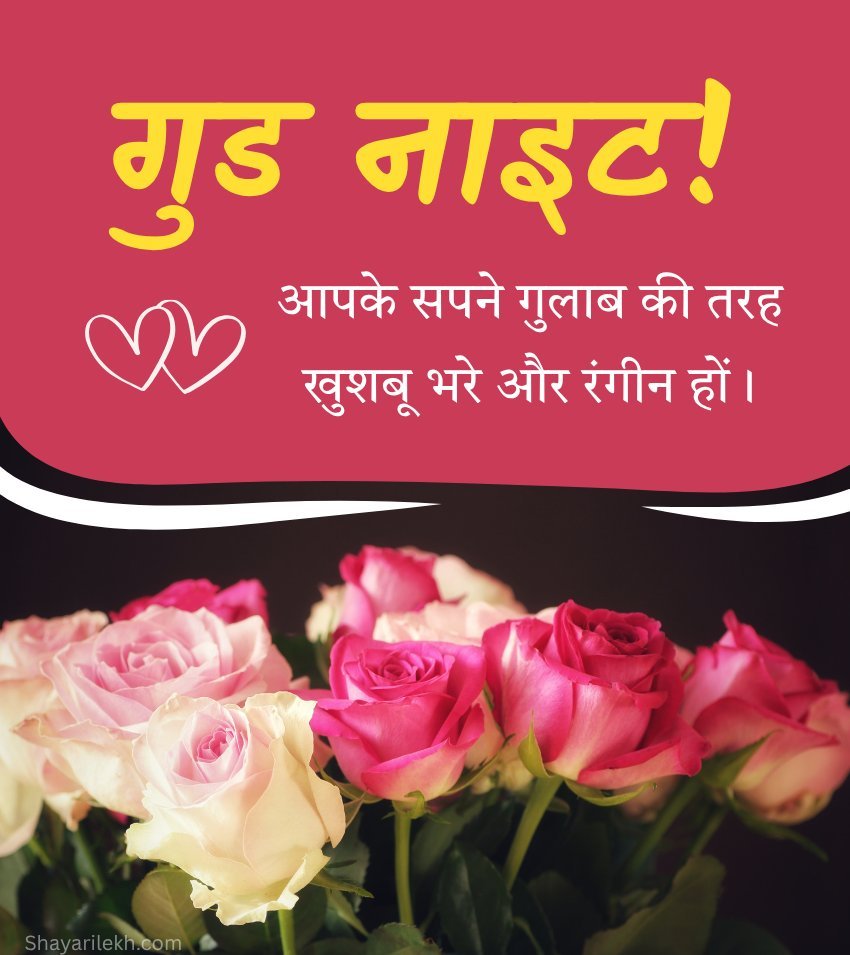 Good Night Quotes For Him Hindi Love Photos