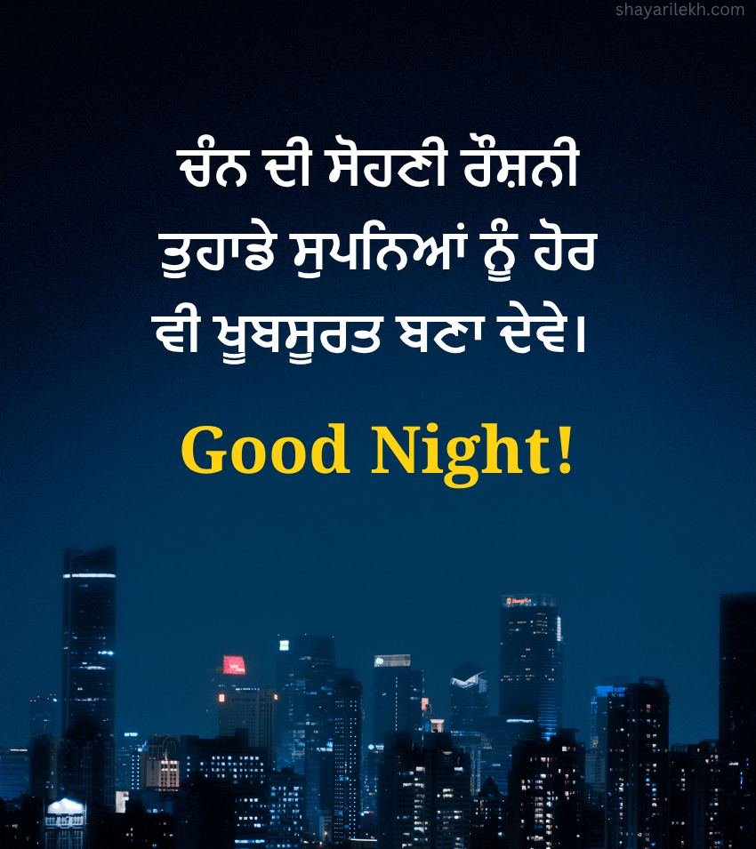 Good Night Quotes In Punjabi with Night City Background