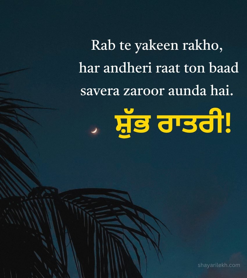 Good Night Quotes for Status in Punjabi