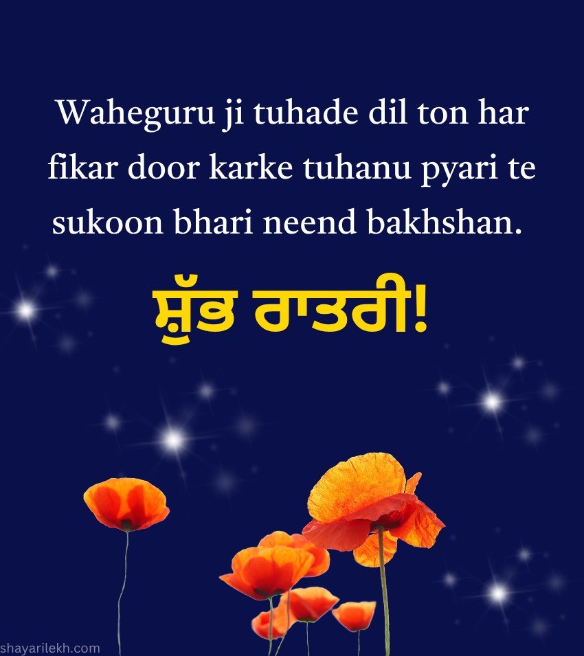 Punjabi Good Night Wishes for Loved Ones