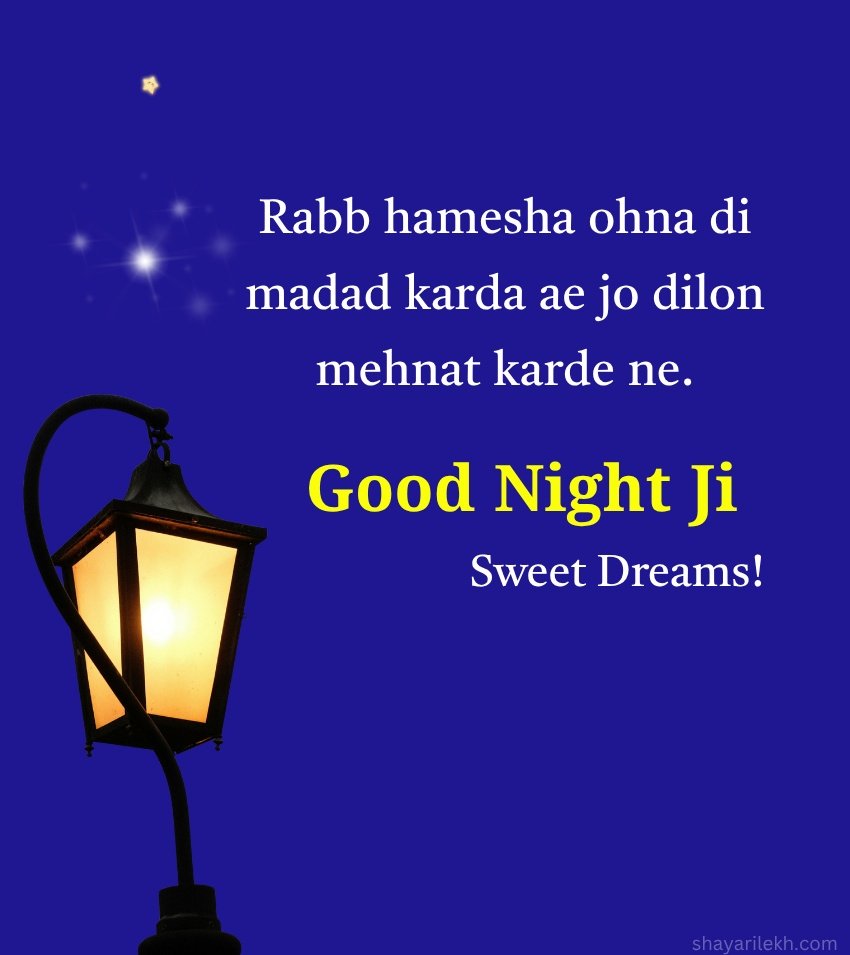 Loving Punjabi Good Night SMS