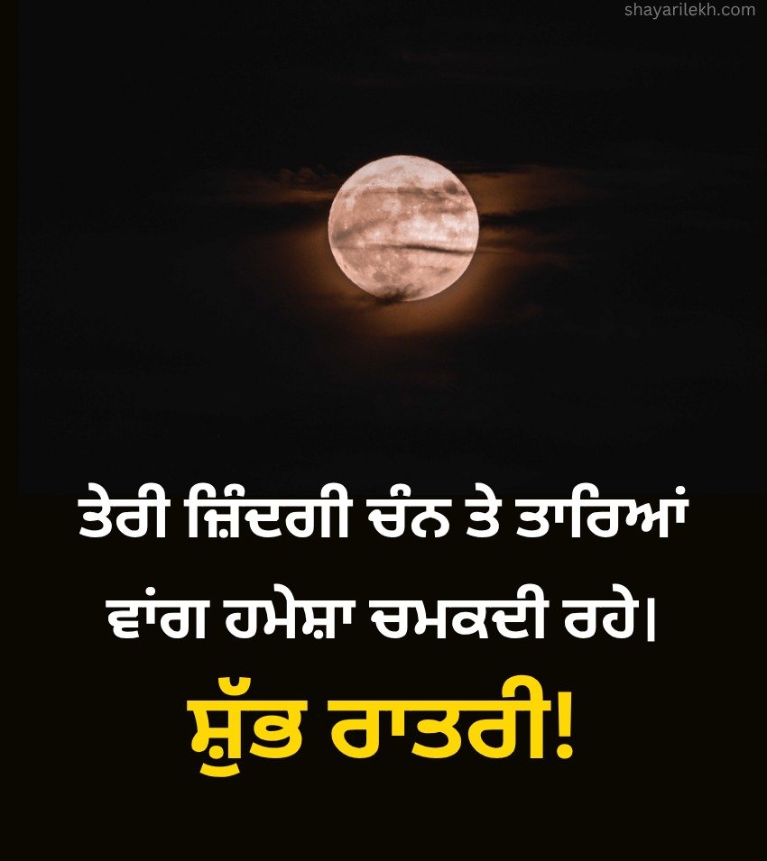 Punjabi Good Night Wishes For Loved Ones