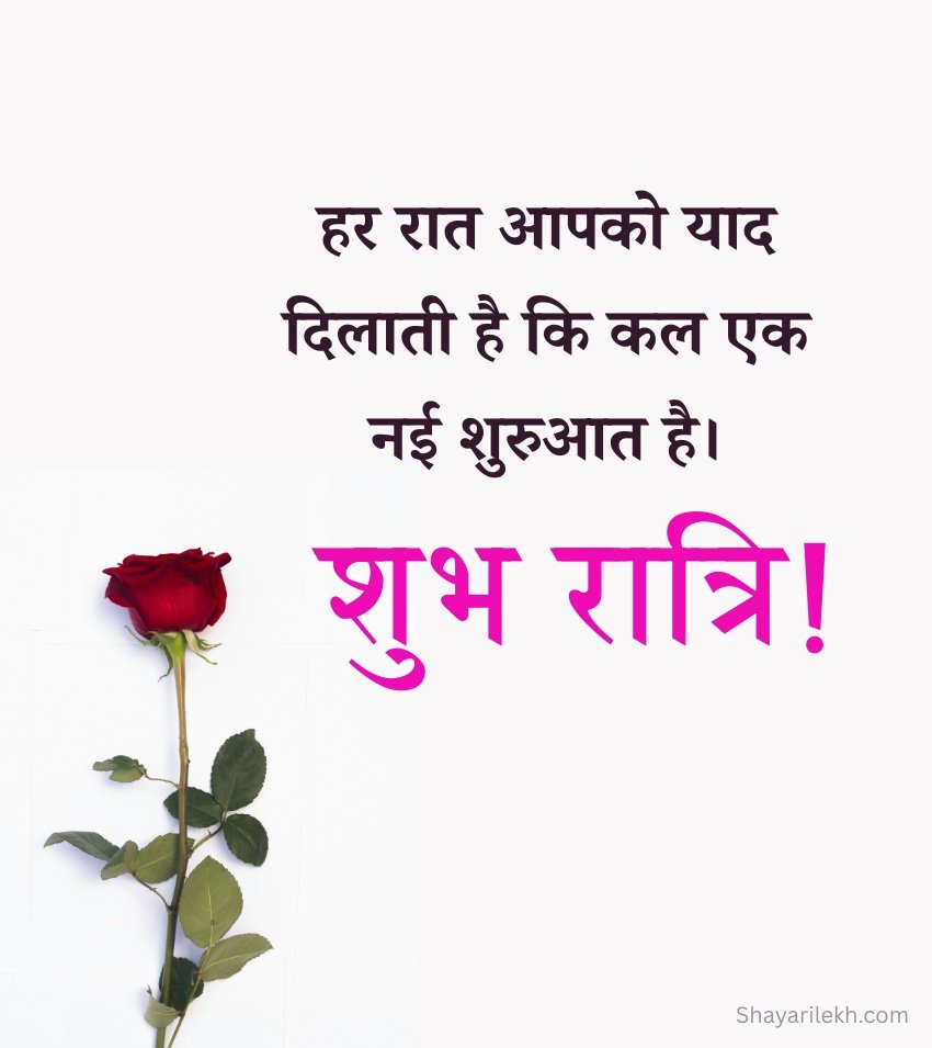 Rose with good Night Quotes in Hindi