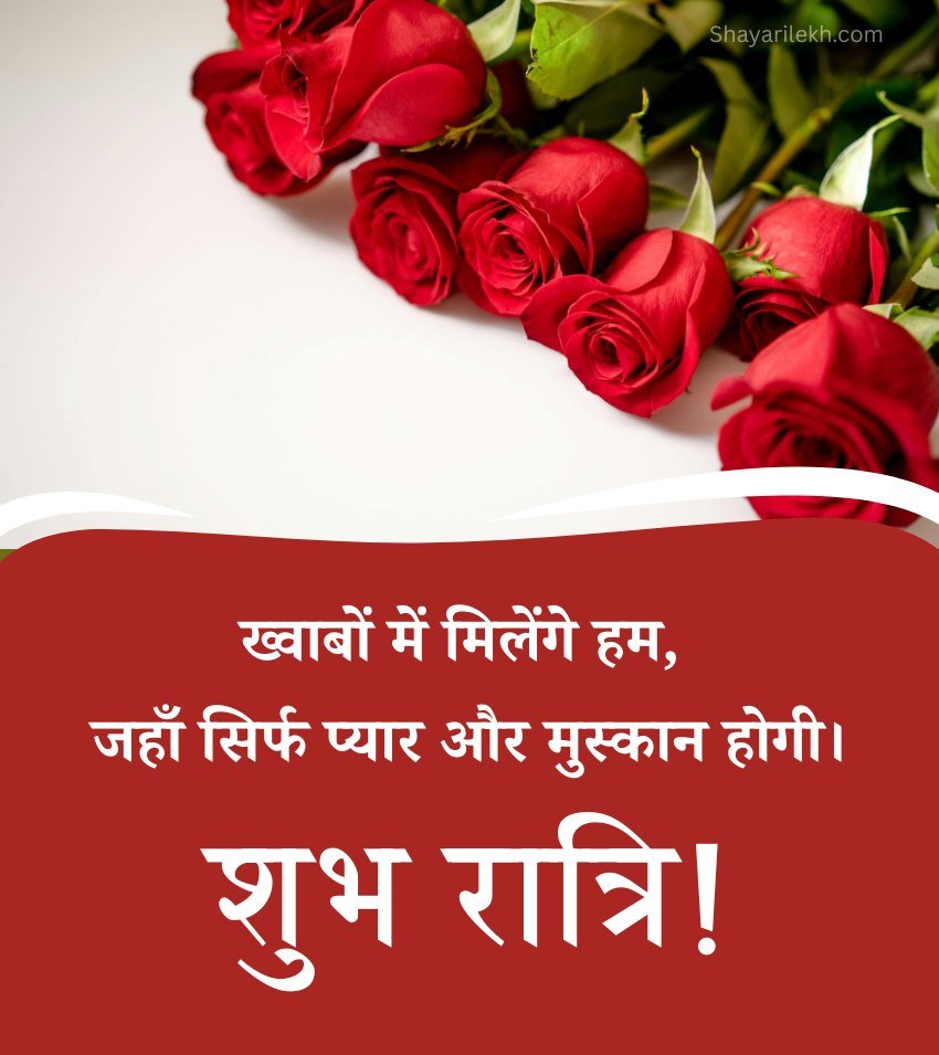 Romantic Rose with good Night Wishes in Hindi