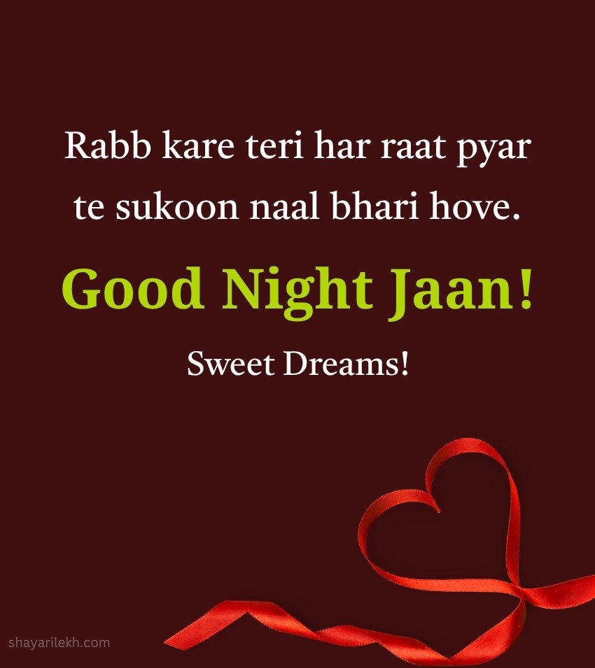 Love Punjabi Good Night Status