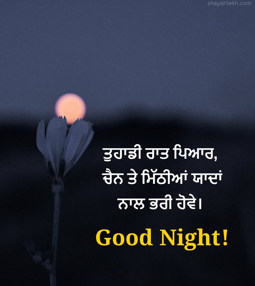 Top Punjabi Good Night Images For Facebook