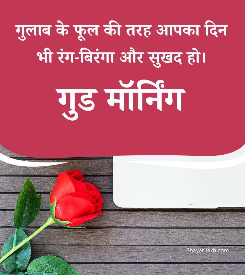 Good Morning Roses WhatsApp Status Hindi