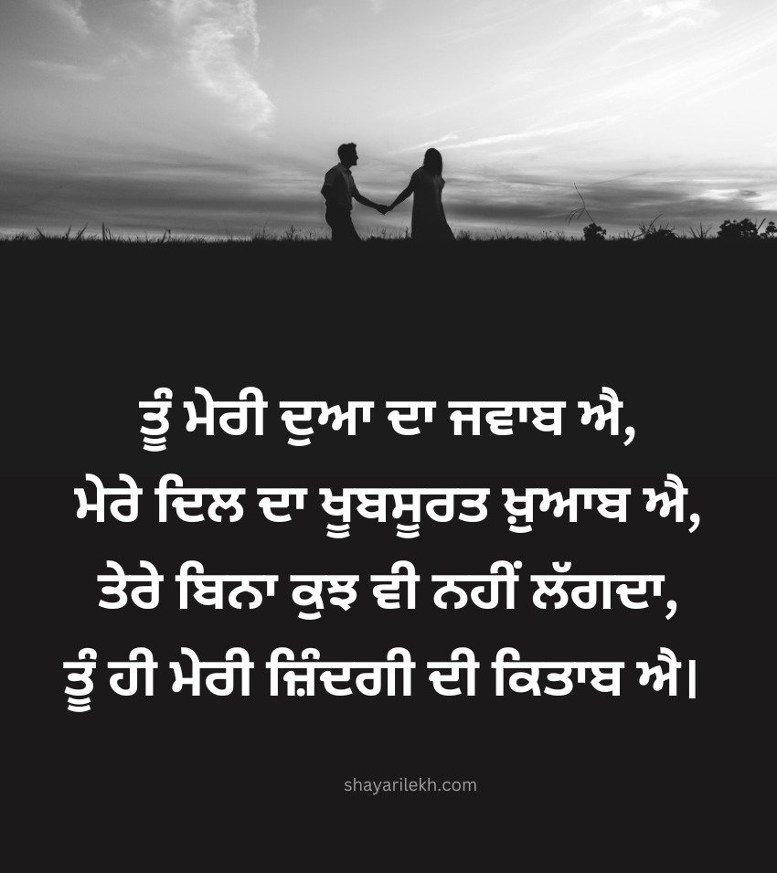 Punjabi Love Shayari For Status