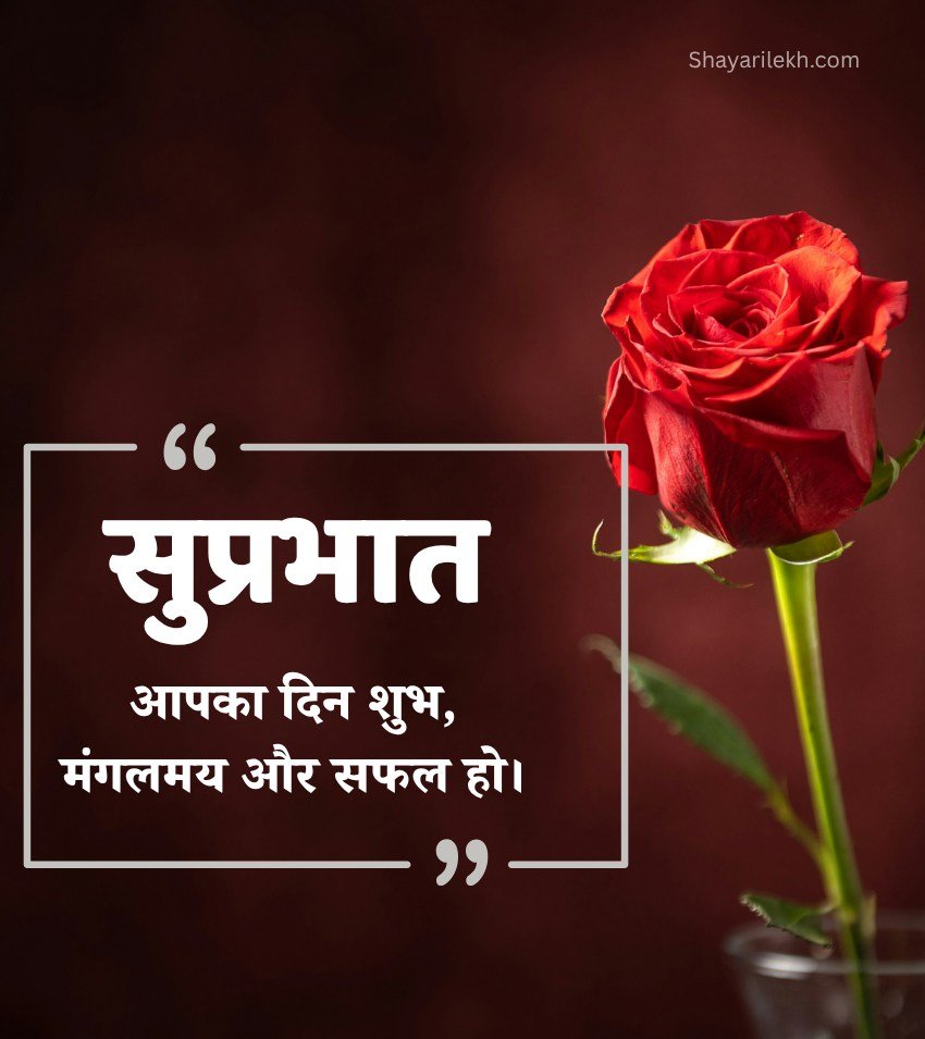 Good Morning Images Hindi Rose