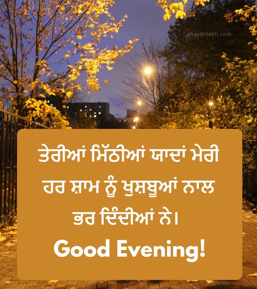 Best Punjabi Good Evening Captions